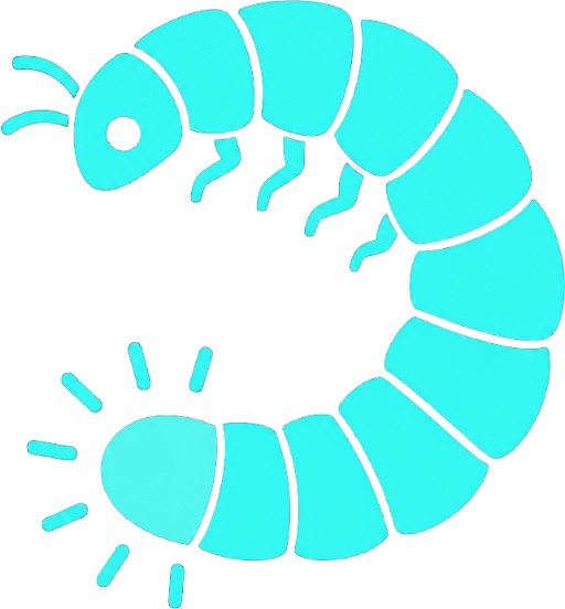 Glow Worm Tour From Brisbane