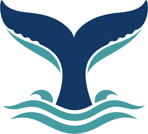 Noosa Whale Watching