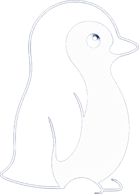 Akaroa Penguin Tour