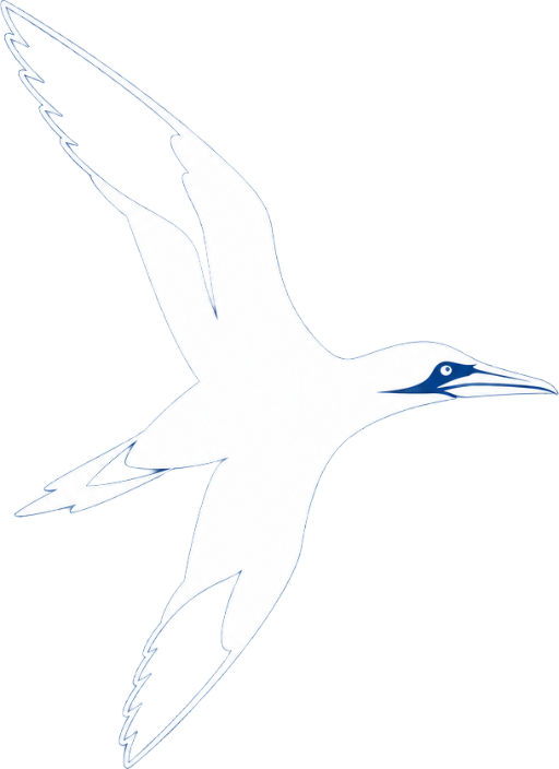 Cape Kidnappers Gannet Tour