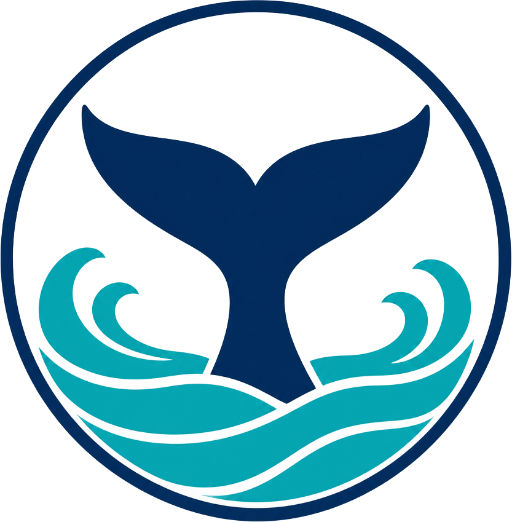 Knysna Whale Watching