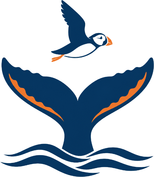 Husavik Whale And Puffin Tour