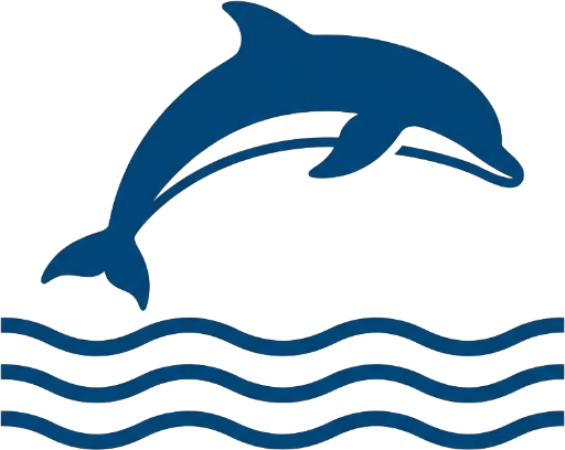 Adelaide Dolphin Sanctuary Kayak Tour