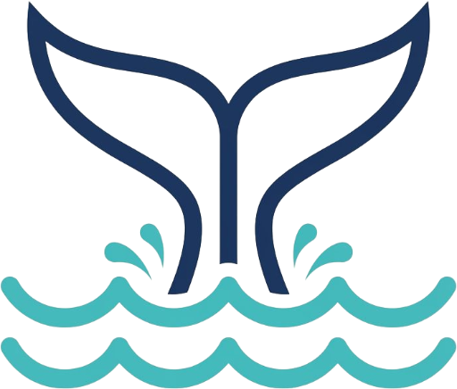 Los Cristianos Whale Watching