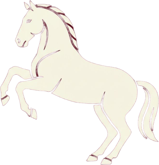 Lipizzaner Show Vienna