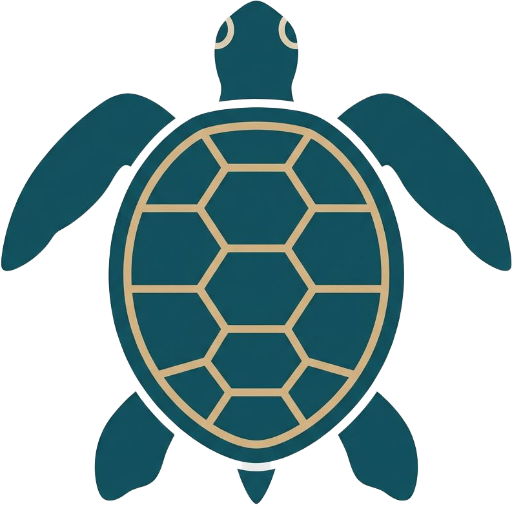 Turtle Release Puerto Escondido