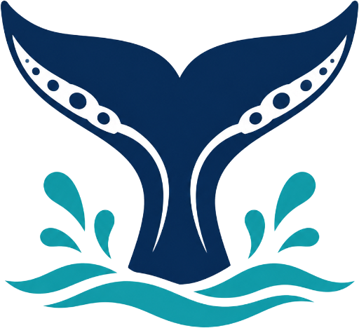 Busselton Whale Watching