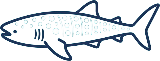 Oslob Whale Shark And Sardine Run Tour Logo
