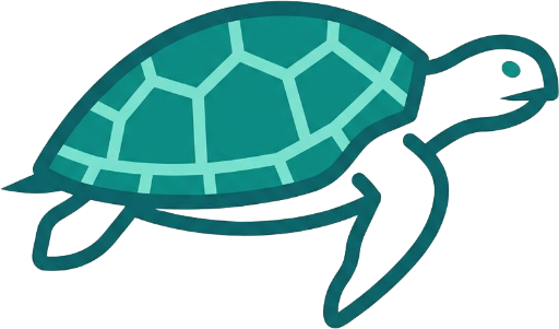 Vanuatu Turtle Tour