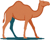 Darwin Camel Tours Logo