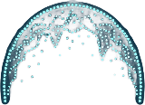 Paihia To Kawiti Glowworm Caves Logo