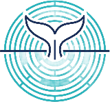 Whale Watching Las Galletas Logo