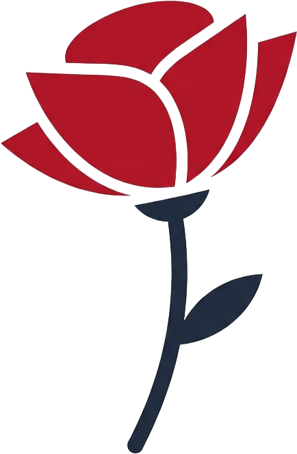 Flanders Fields Tour From Brussels