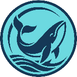 Whale Watching Mirissa Logo