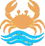 Crab Island Boat Tours Logo