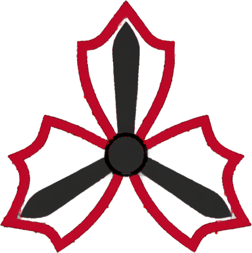 Ottawa Helicopter Ride