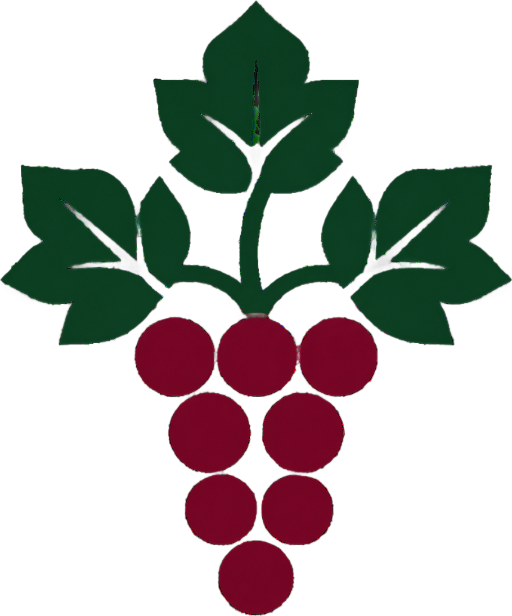Cote De Nuits Wine Tour
