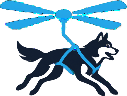 Seward Helicopter Dog Sled Tour