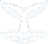 Reykjavik Whale Watching Logo