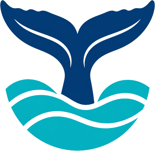 Gold Coast Whale Watching