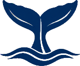 Kaikoura Whale Watching Logo