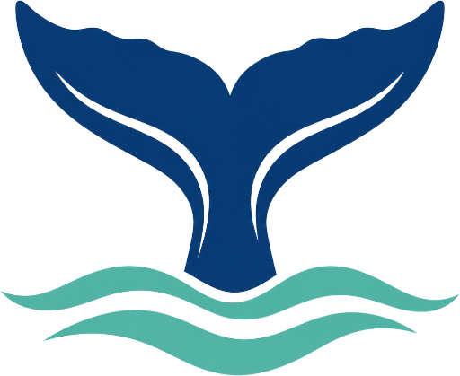 Cape Cod Whale Watching