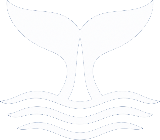 Norwegen Whale Watching Logo