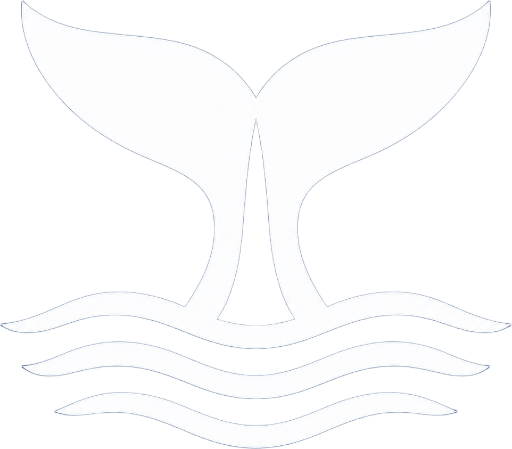Norwegen Whale Watching