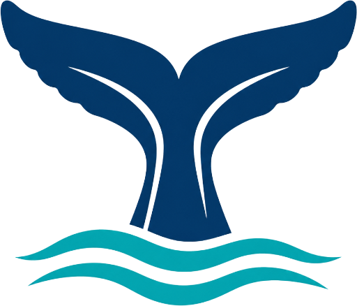 Honolulu Whale Watching