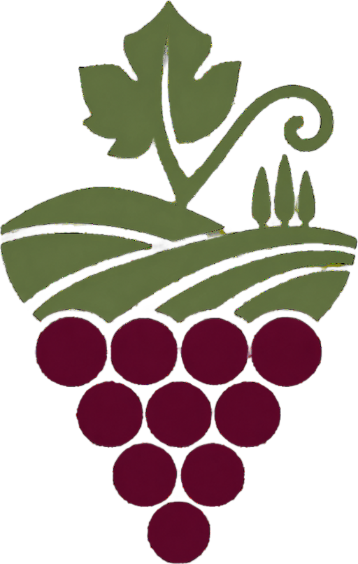 Chianti Florence Wine Tour