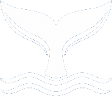 Norway Whale Watching Logo