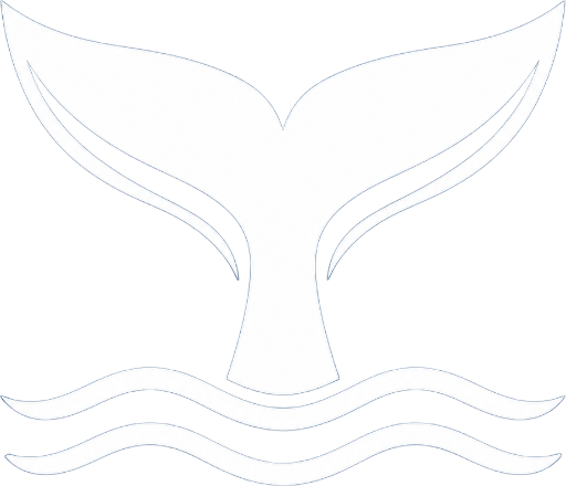 Norway Whale Watching