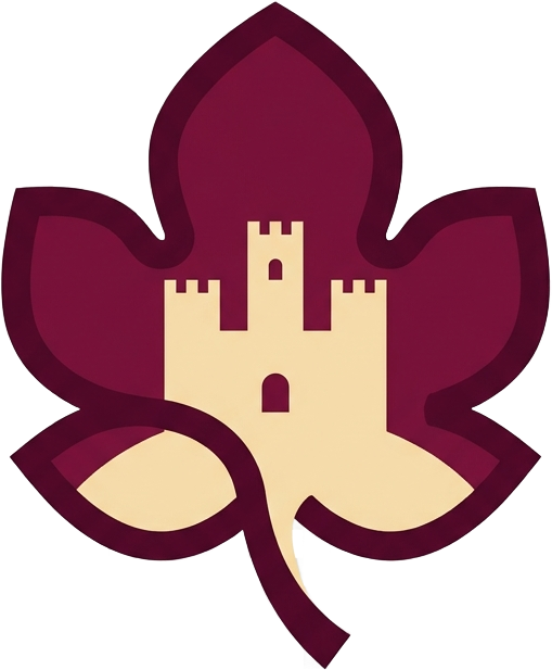 Barolo Wine Tours