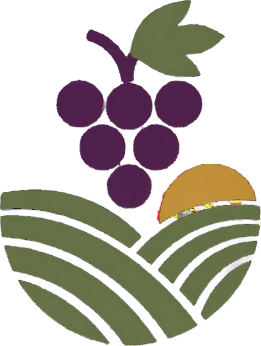 Provence Wine Tour
