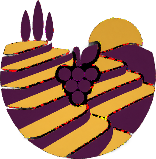 Portugal Wine Tour