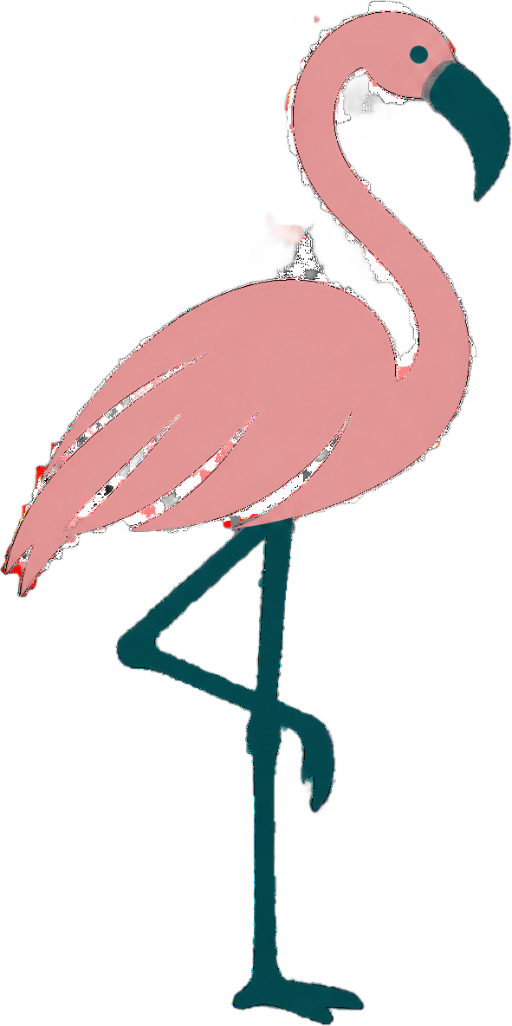 Lisbon Birdwatching Tour