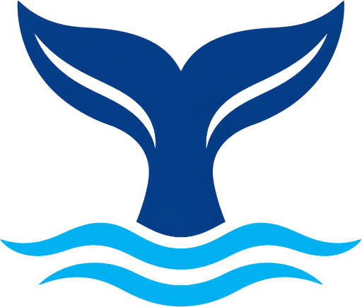 Azores Whale Watching
