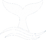 Whale Watching Lanzarote Logo