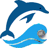 Port Stephens Dolphin Cruise Logo