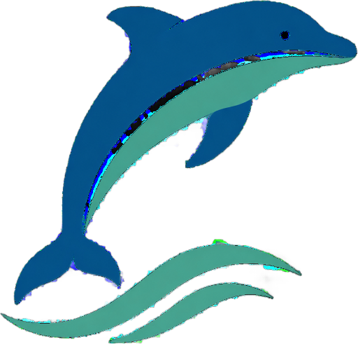 Dolphin Watching Cornwall
