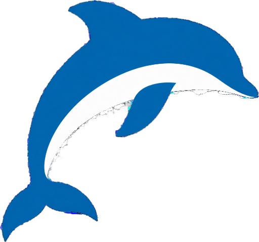Dolphin Show Hurghada