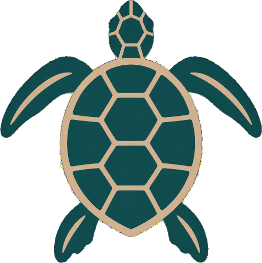 Paphos Turtle Watching