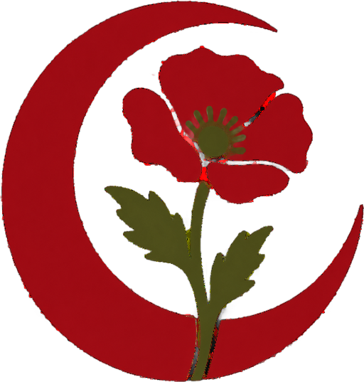 Gallipoli Tour From Istanbul