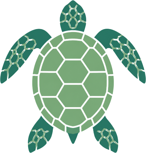 Nassau Snorkeling With Turtles
