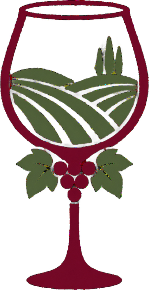 Hop On Hop Off Stellenbosch Wine Tour