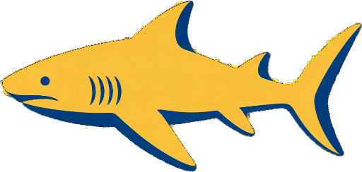 Lemon Shark Tour Sal