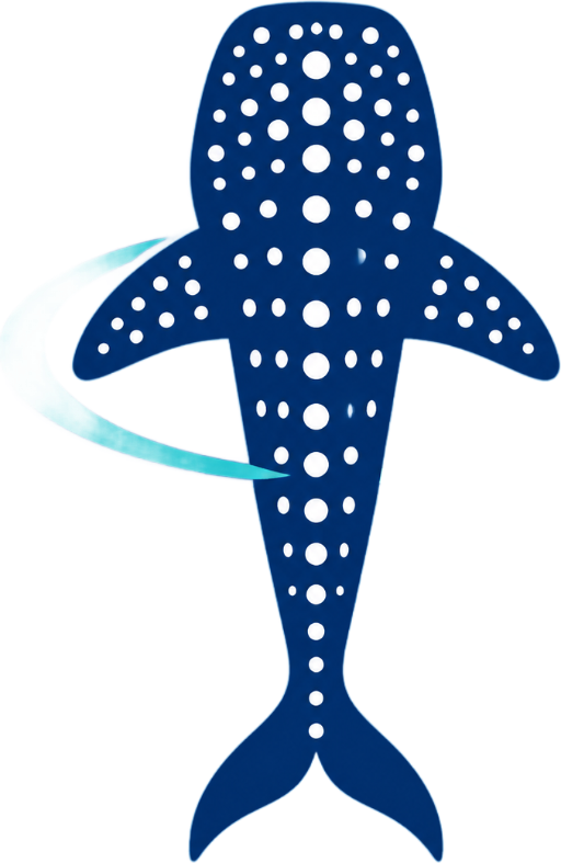 Swim With Whale Sharks La Paz