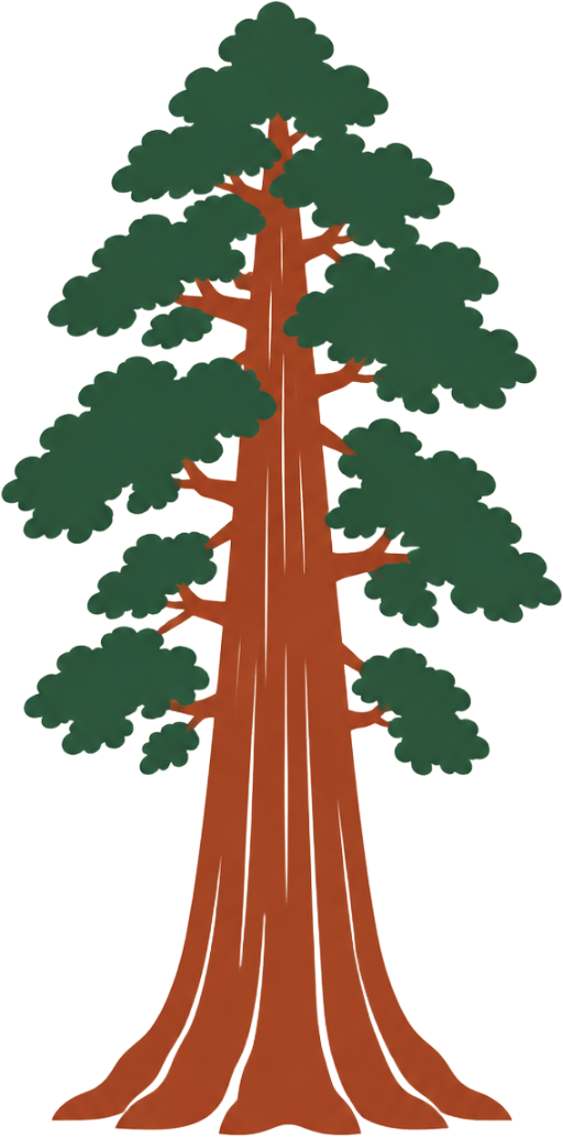 Sequoia National Park Tour From Los Angeles