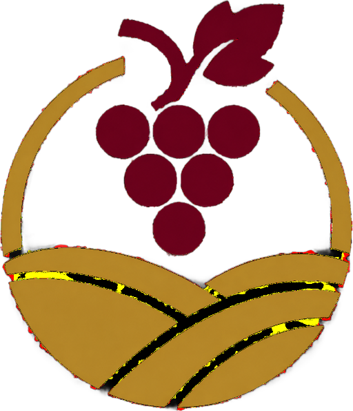 Dealu Mare Wine Tour