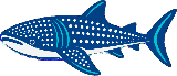 Cancun Swim With Whale Sharks Logo